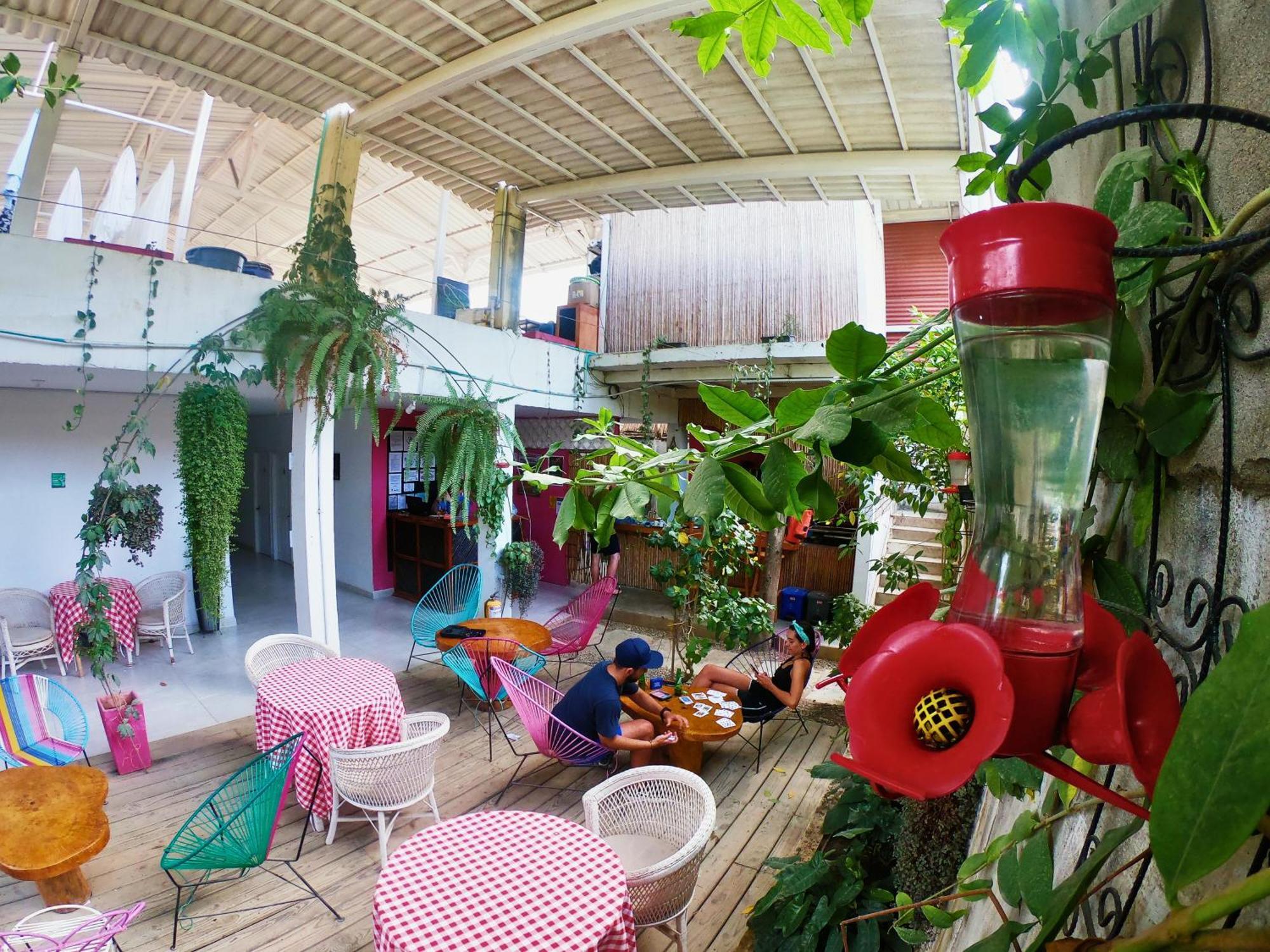 Hotel Casa Colibri Palomino Extérieur photo